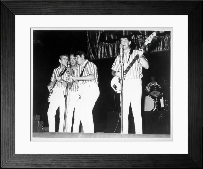 Framed Print : Beach Boys Performing Framed Print : Beach Boys Performing