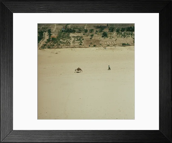 Framed Print : Landscape Near Saqqara Framed Print : Landscape Near Saqqara