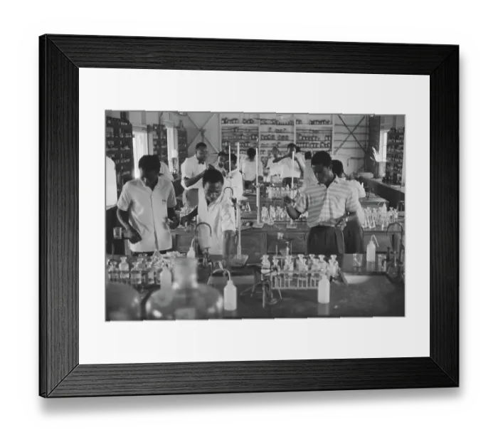 Framed Print : Lagos Chemistry Class Framed Print : Lagos Chemistry Class