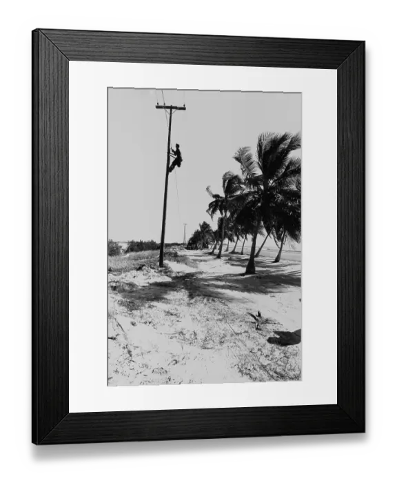 Framed Print : Key West Lineworker