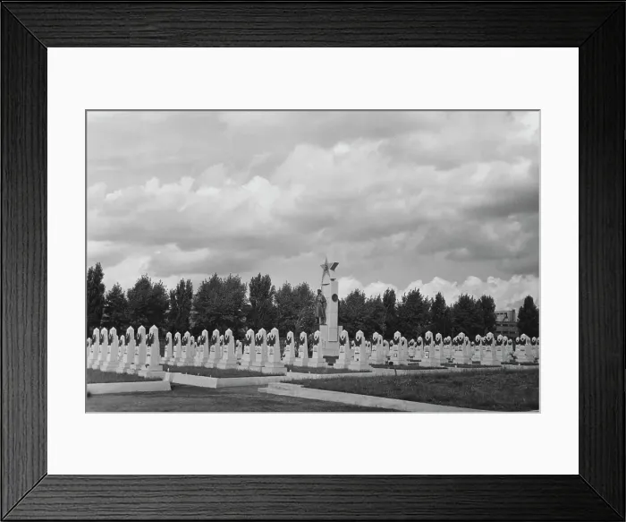 Framed Print : Soviet Cemetery In Prague