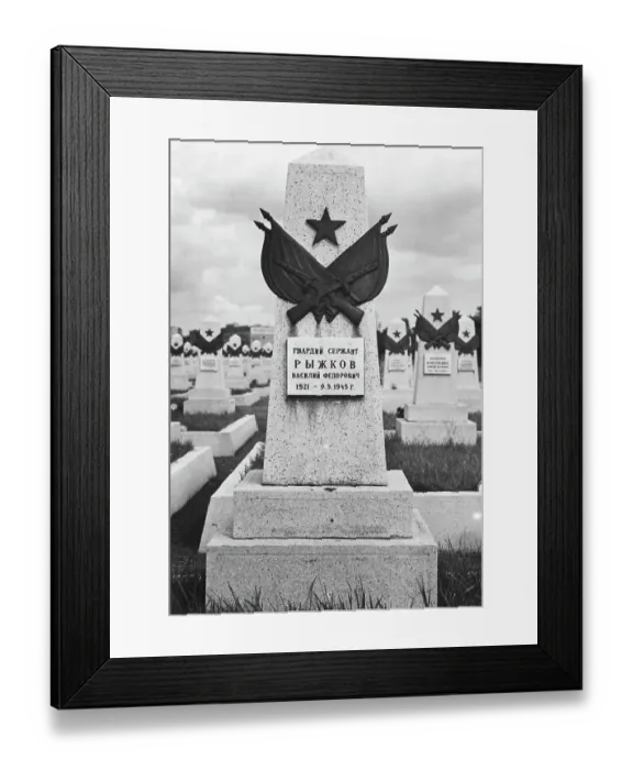 Framed Print : Soviet Cemetery In Prague Framed Print : Soviet Cemetery In Prague