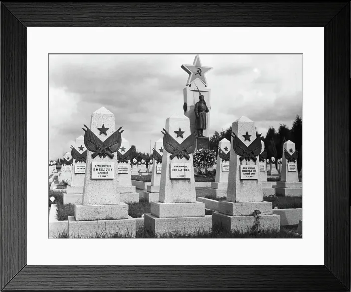 Framed Print : Soviet Cemetery In Prague Framed Print : Soviet Cemetery In Prague