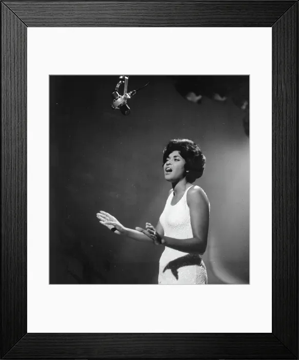 Framed Print : Nancy Wilson Framed Print : Nancy Wilson