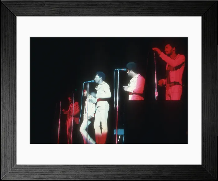 Framed Print : Photo of Tavares