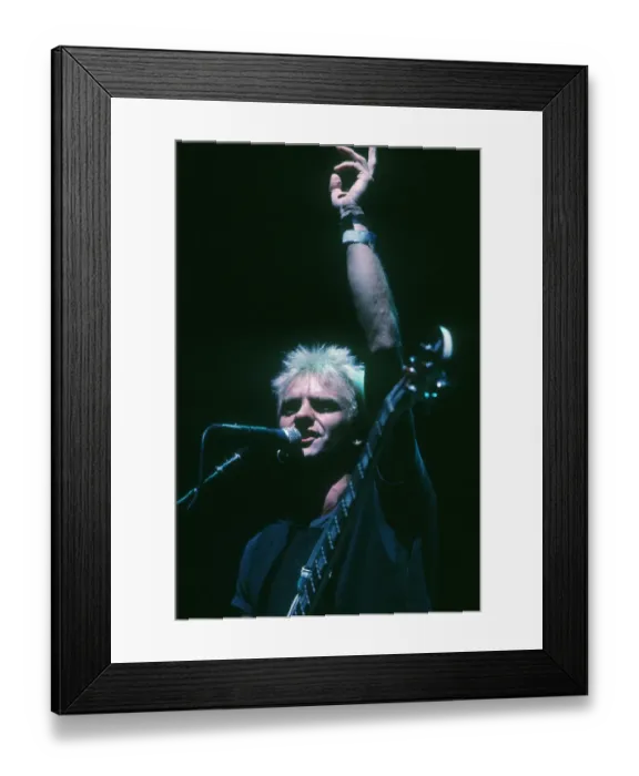 Framed Print : Photo of Sting Framed Print : Photo of Sting