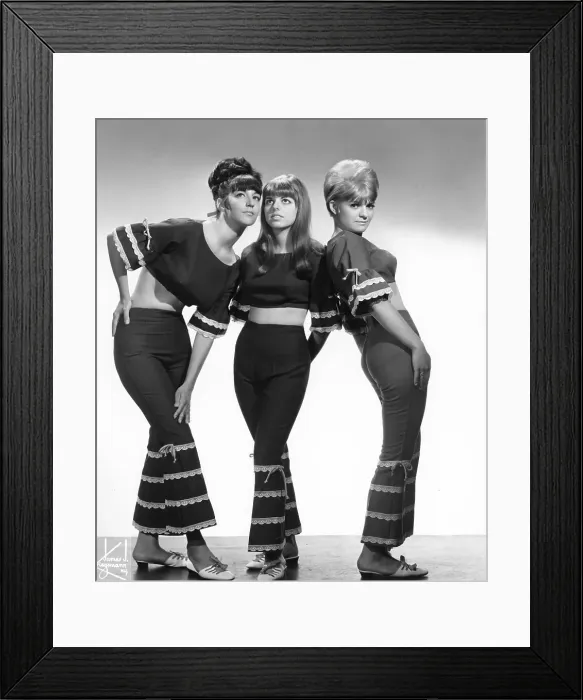 Framed Print : Photo of Reparata & The Delrons Framed Print : Photo of Reparata & The Delrons