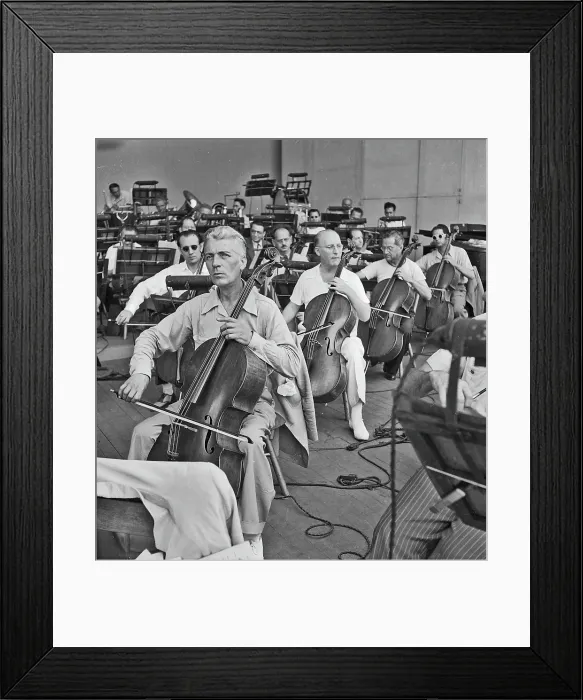 Framed Print : Photo of New York Philharmonic Framed Print : Photo of New York Philharmonic