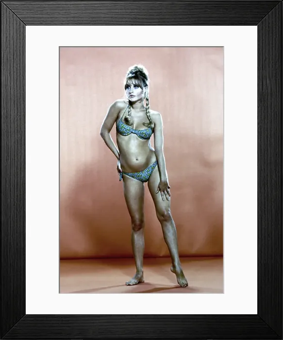 Framed Print : Photo of Sharon Tate Framed Print : Photo of Sharon Tate