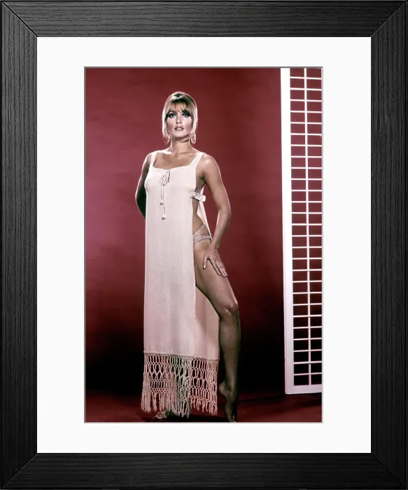 Framed Print : Photo of Sharon Tate Framed Print : Photo of Sharon Tate
