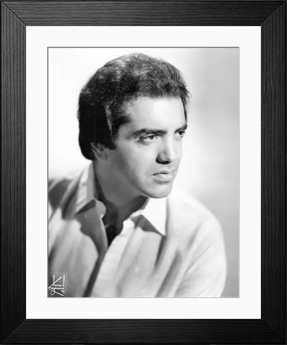 Framed Print : Photo of Palminteri Chazz Framed Print : Photo of Palminteri Chazz