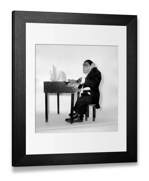 Framed Print : Kokomo Jr. The Talented Chimpazee