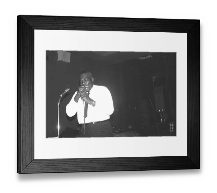 Framed Print : Photo of Wolf Howlin Framed Print : Photo of Wolf Howlin