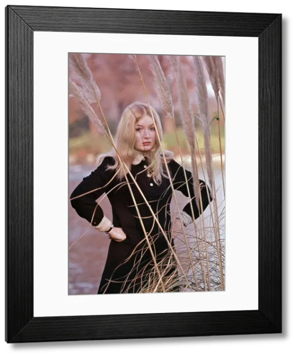 Framed Print : Photo of Mary Hopkin Framed Print : Photo of Mary Hopkin
