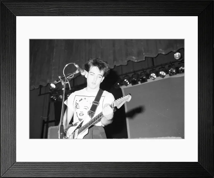 Framed Print : Photo of Cure Framed Print : Photo of Cure