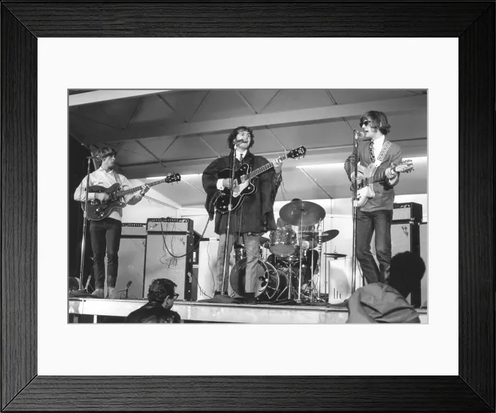 Framed Print : Photo of Byrds Framed Print : Photo of Byrds