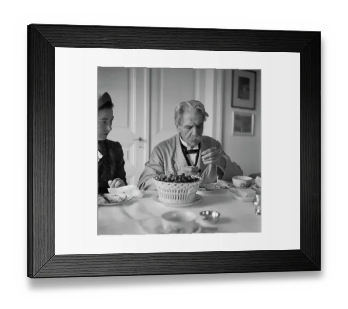 Framed Print : Albert Schweitzer