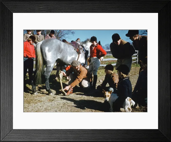 Framed Print : Veterinarian teaches horse anatomy