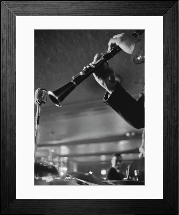 Framed Print : Birdland, New York City