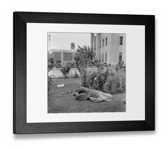 Framed Print : Midday Slumber Framed Print : Midday Slumber