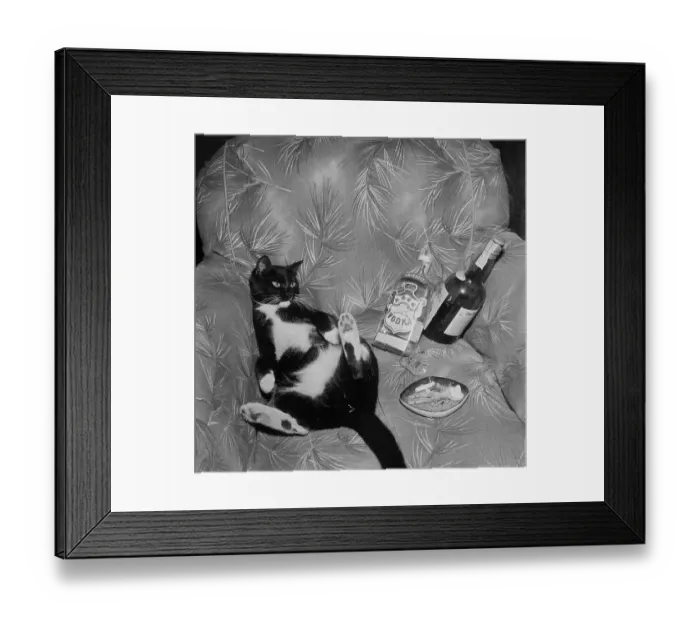 Framed Print : Cat with liquor Framed Print : Cat with liquor