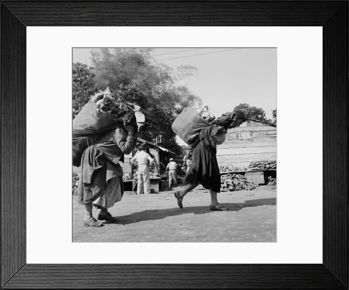Framed Print : Santo Domingo de los Colorados, Ecuador Framed Print : Santo Domingo de los Colorados, Ecuador