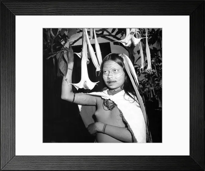 Framed Print : Santo Domingo de los Colorados, Ecuador Framed Print : Santo Domingo de los Colorados, Ecuador
