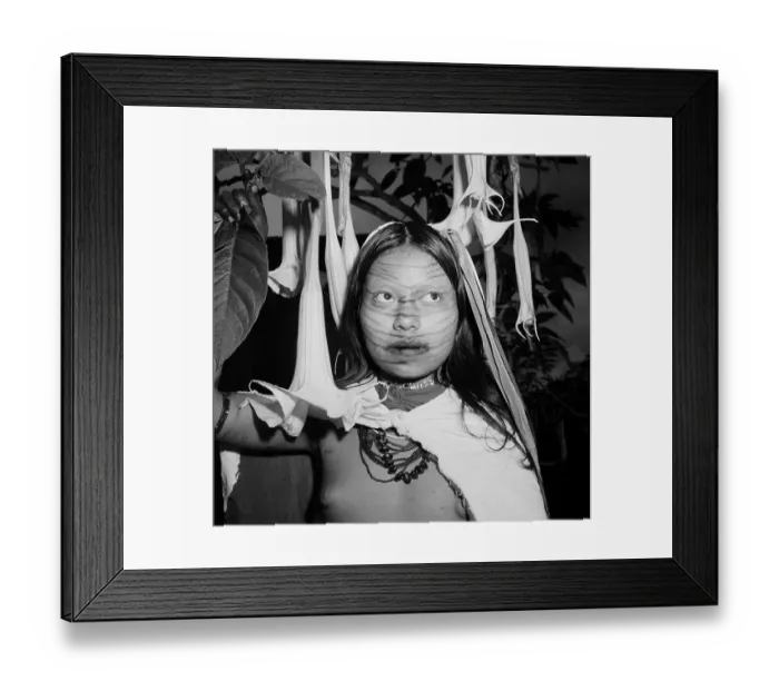 Framed Print : Santo Domingo de los Colorados, Ecuador Framed Print : Santo Domingo de los Colorados, Ecuador