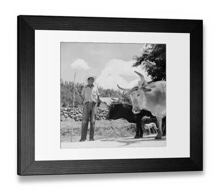Framed Print : Tegucigalpa, Honduras Framed Print : Tegucigalpa, Honduras