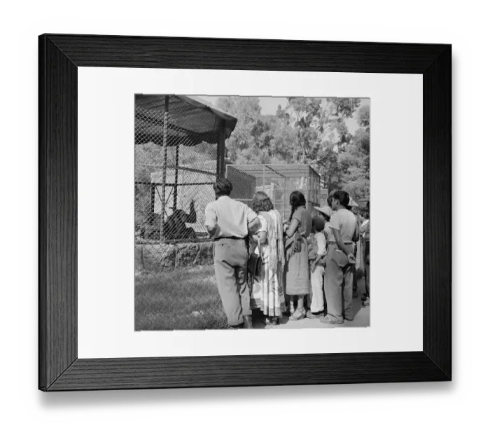 Framed Print : Mexico City, Mexico Framed Print : Mexico City, Mexico