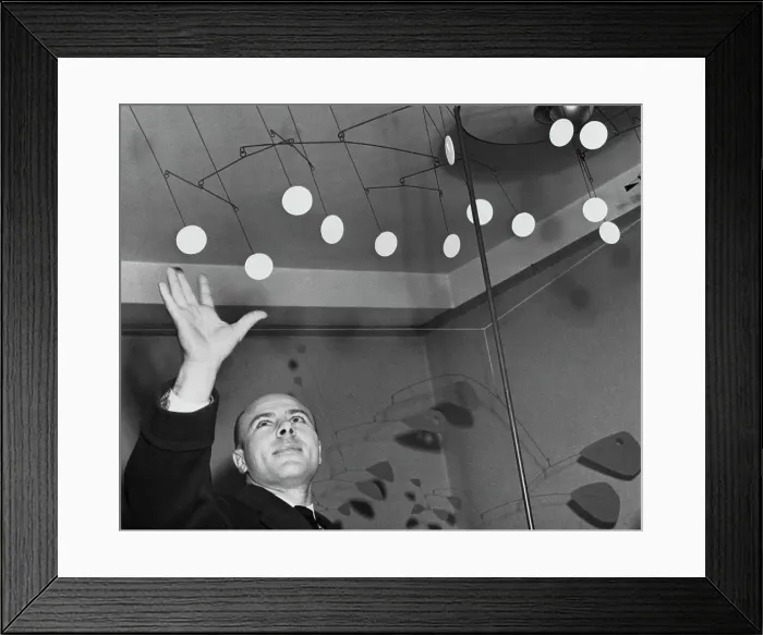 Framed Print : Thirty-Two Discs