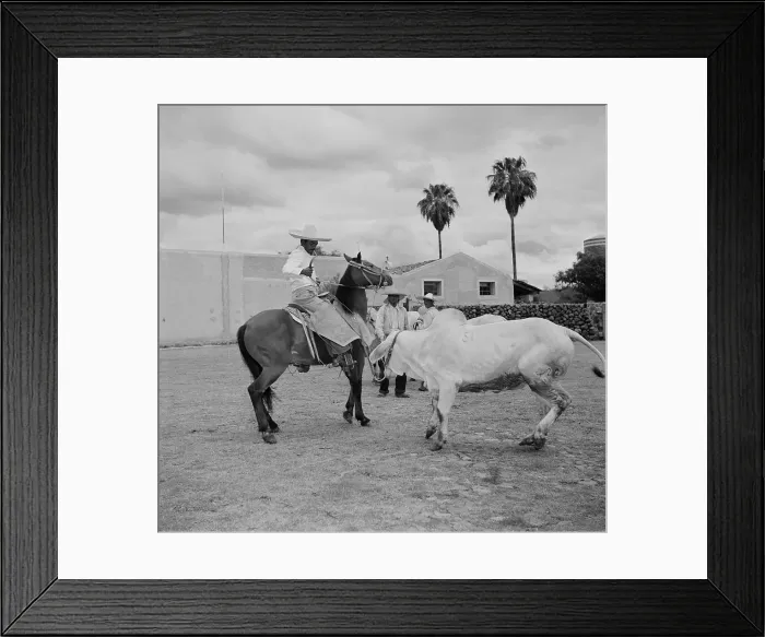 Framed Print : Ranching in Michoacan, Mexico Framed Print : Ranching in Michoacan, Mexico