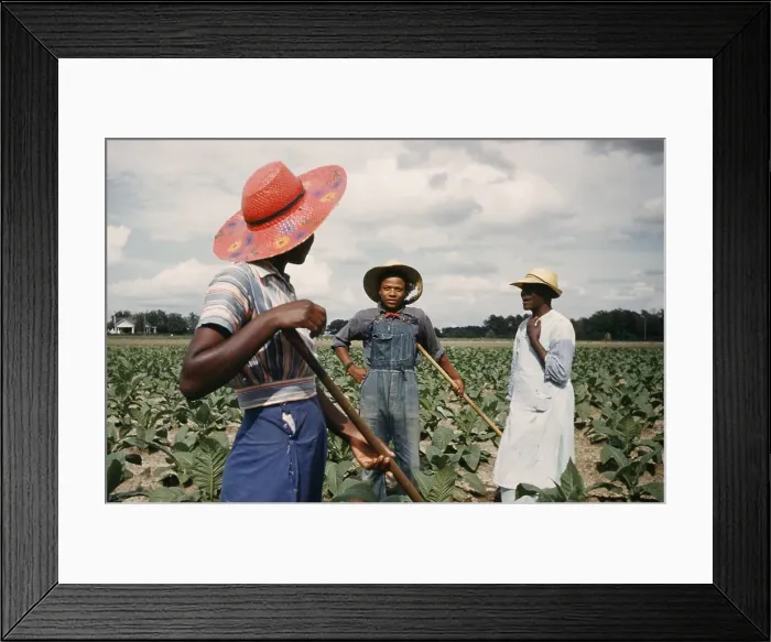 Framed Print : Recreation Of Life On A Pre Civil War Plantation Framed Print : Recreation Of Life On A Pre Civil War Plantation