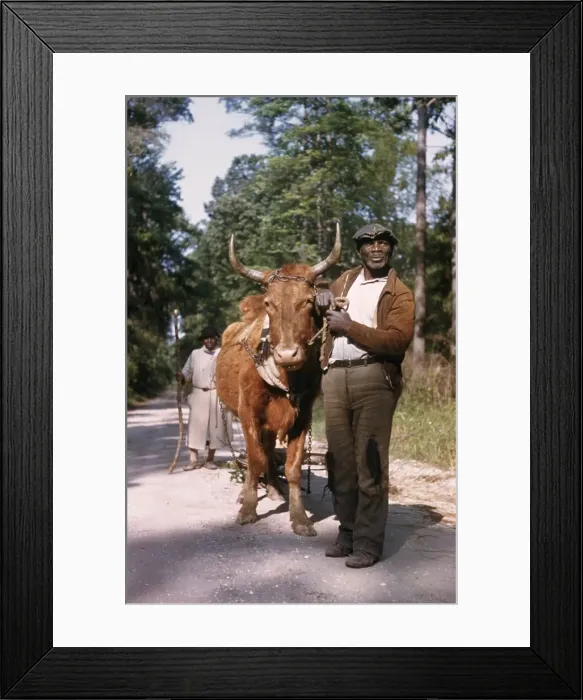 Framed Print : Recreation Of Life On A Pre Civil War Plantation Framed Print : Recreation Of Life On A Pre Civil War Plantation