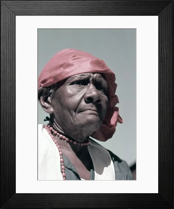 Framed Print : Recreation Of Life On A Pre Civil War Plantation Framed Print : Recreation Of Life On A Pre Civil War Plantation