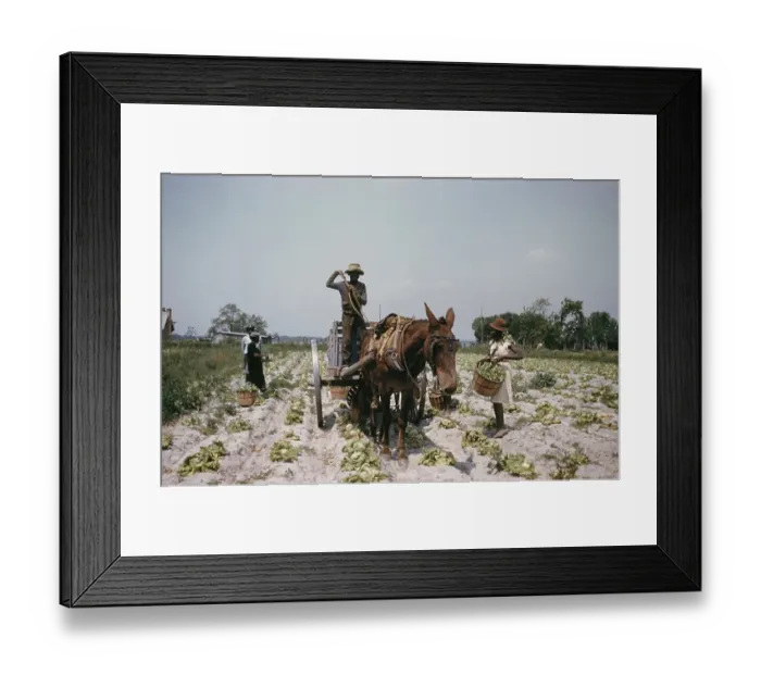 Framed Print : Recreation Of Life On A Pre Civil War Plantation Framed Print : Recreation Of Life On A Pre Civil War Plantation