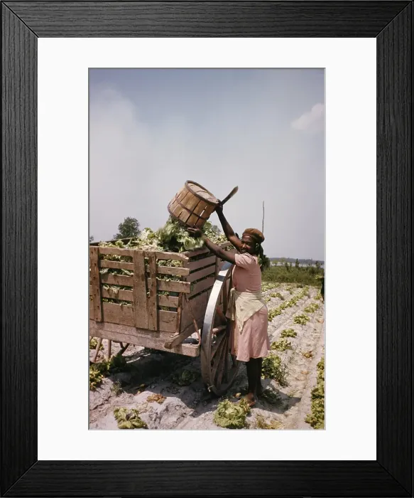 Framed Print : Recreation Of Life On A Pre Civil War Plantation Framed Print : Recreation Of Life On A Pre Civil War Plantation