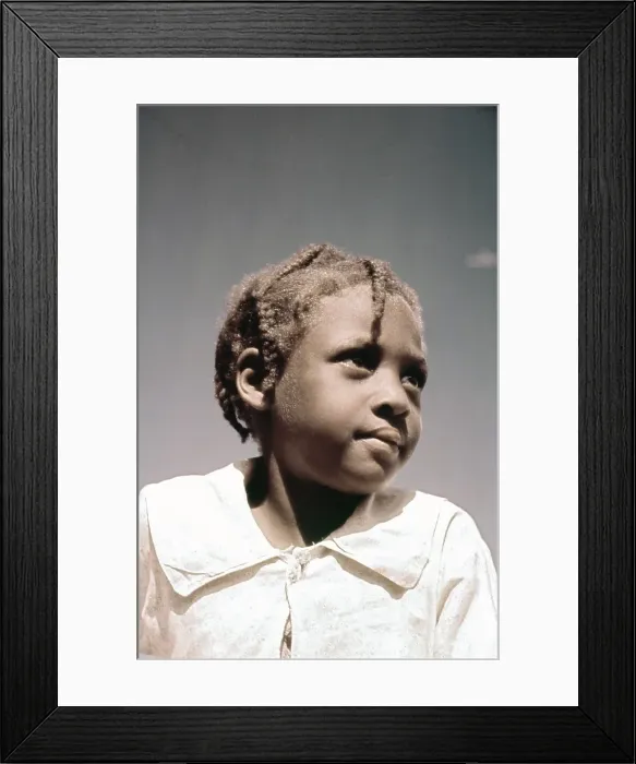 Framed Print : Recreation Of Life On A Pre Civil War Plantation Framed Print : Recreation Of Life On A Pre Civil War Plantation