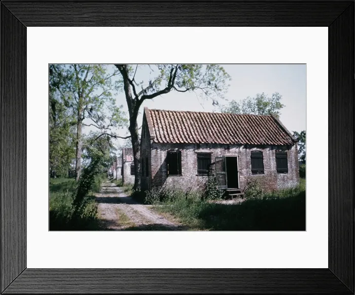 Framed Print : Plantation Slave Quarters Framed Print : Plantation Slave Quarters