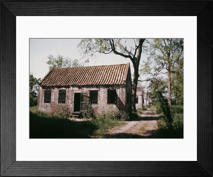 Framed Print : Plantation Slave Quarters Framed Print : Plantation Slave Quarters