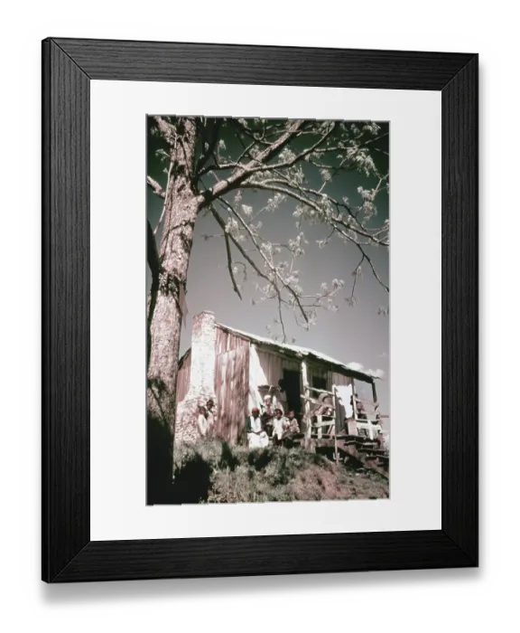 Framed Print : Recreation Of Life On A Pre Civil War Plantation Framed Print : Recreation Of Life On A Pre Civil War Plantation