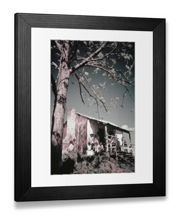 Framed Print : Recreation Of Life On A Pre Civil War Plantation Framed Print : Recreation Of Life On A Pre Civil War Plantation