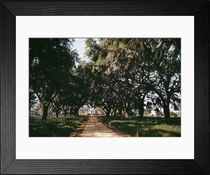 Framed Print : A Pre Civil War Plantation House Framed Print : A Pre Civil War Plantation House
