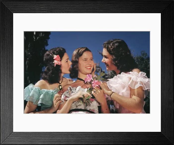 Framed Print : Recreation Of Life On A Pre Civil War Plantation Framed Print : Recreation Of Life On A Pre Civil War Plantation