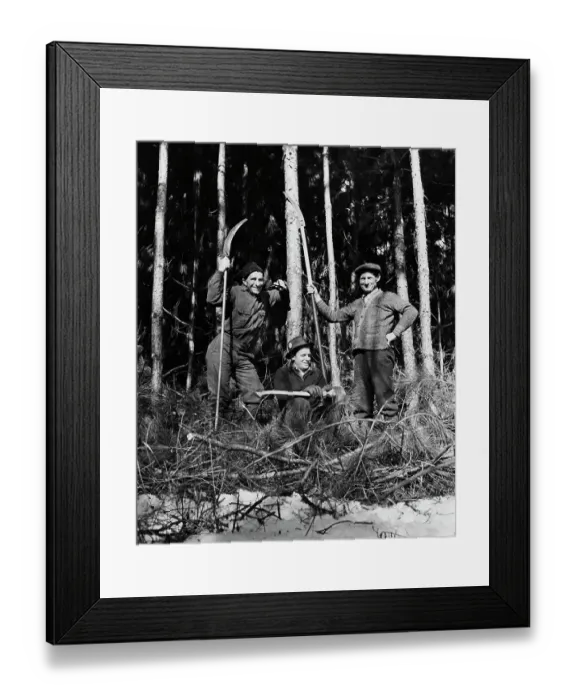 Framed Print : Roosevelt's Neighbours Framed Print : Roosevelt's Neighbours
