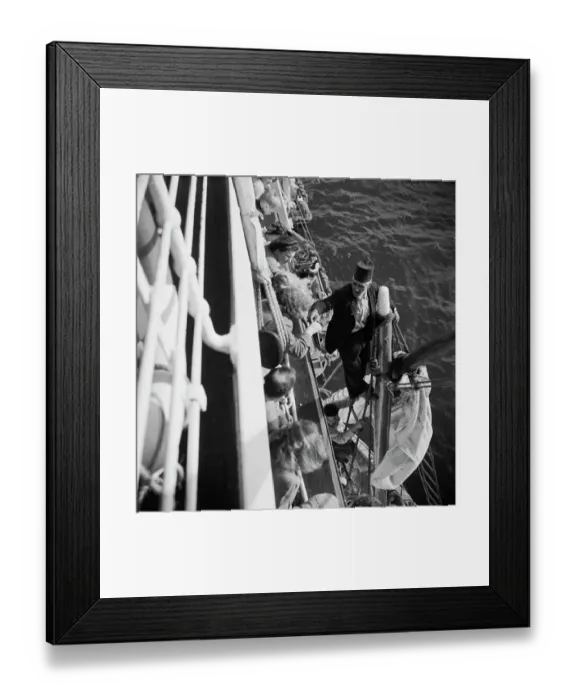 Framed Print : Souvenirs of Port Said Framed Print : Souvenirs of Port Said