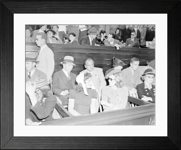 Framed Print : Stars At Leisure Framed Print : Stars At Leisure