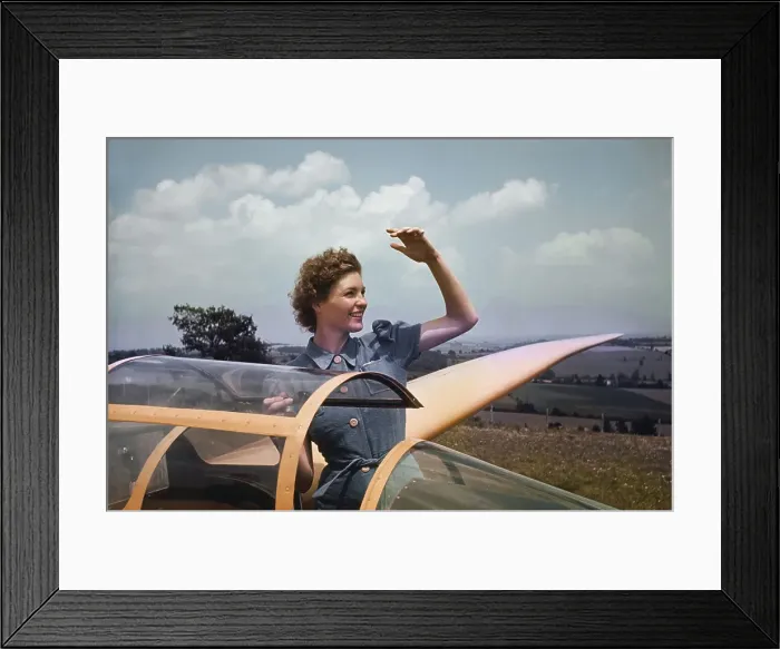Framed Print : Gliding Gliders in New Jersey Framed Print : Gliding Gliders in New Jersey