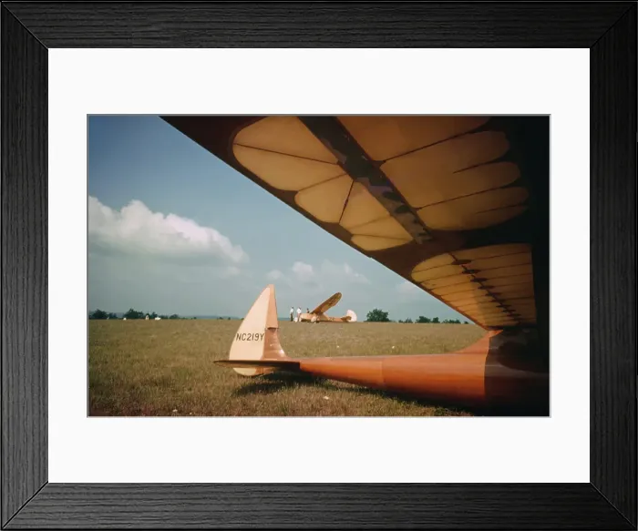 Framed Print : Gliding Gliders in New Jersey Framed Print : Gliding Gliders in New Jersey