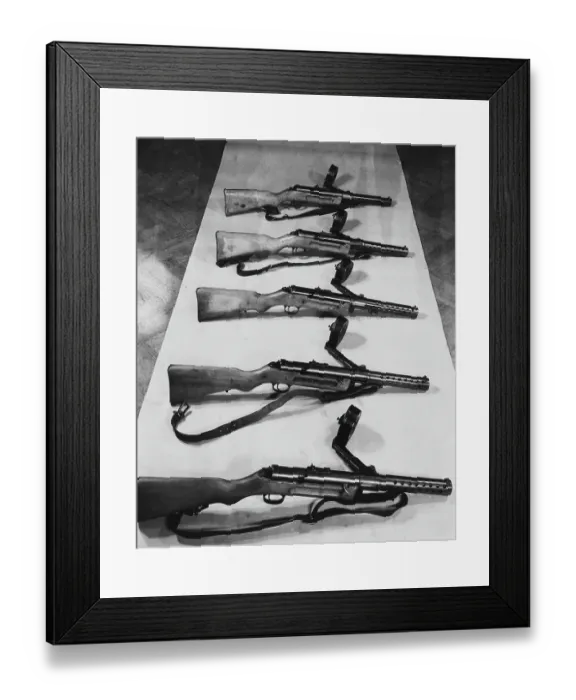 Framed Print : Heinleinist Weapons Framed Print : Heinleinist Weapons